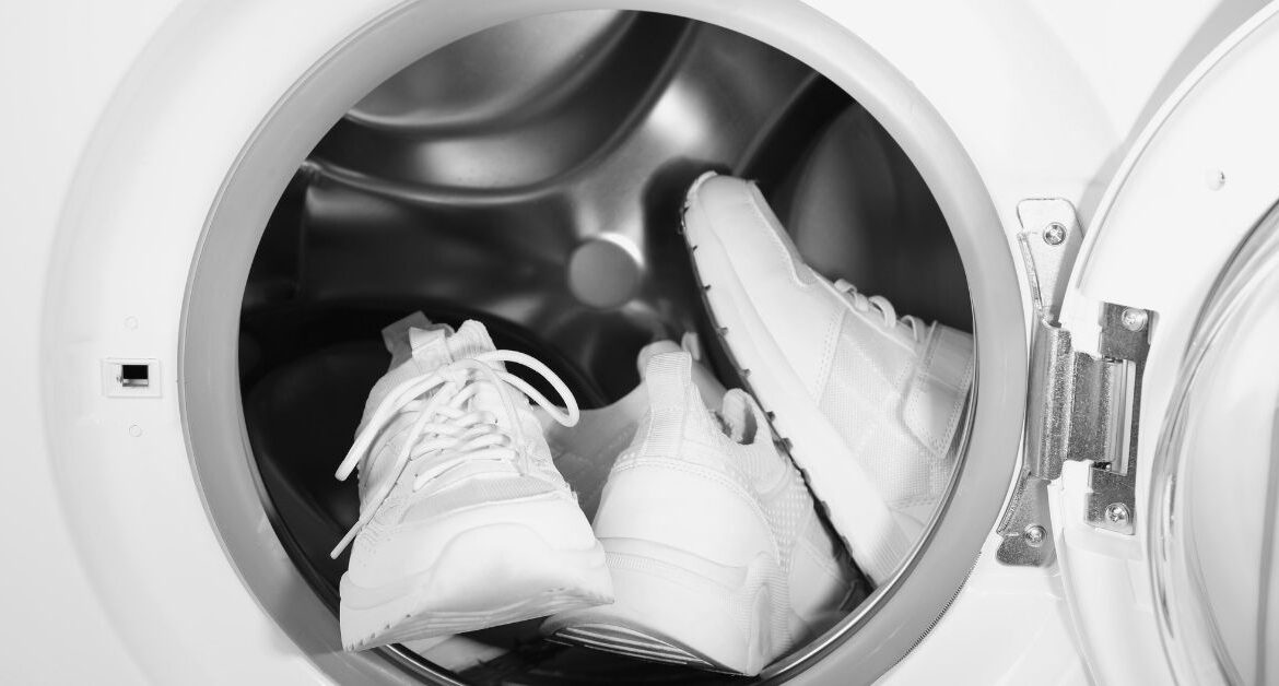 Shoe Laundry Business Plan