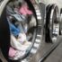 How to Set Up a Successful Campus Laundry Service