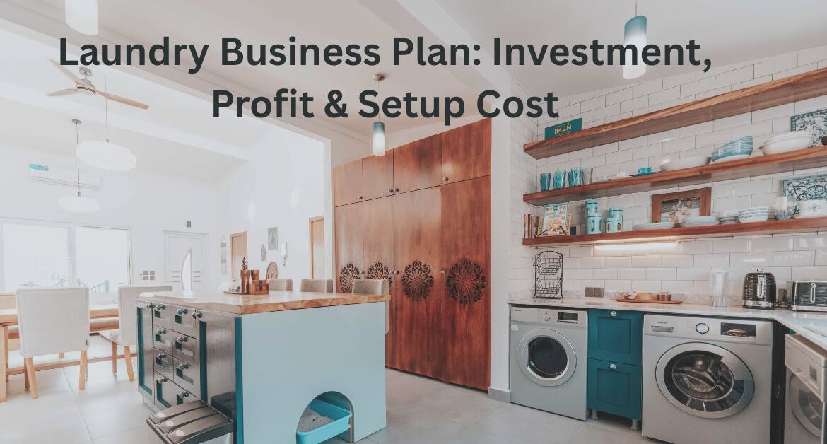 Laundry Business Plan: Investment, Profit & Setup Cost